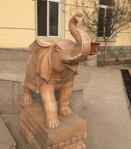 Friday in China - Part 1 Elephant